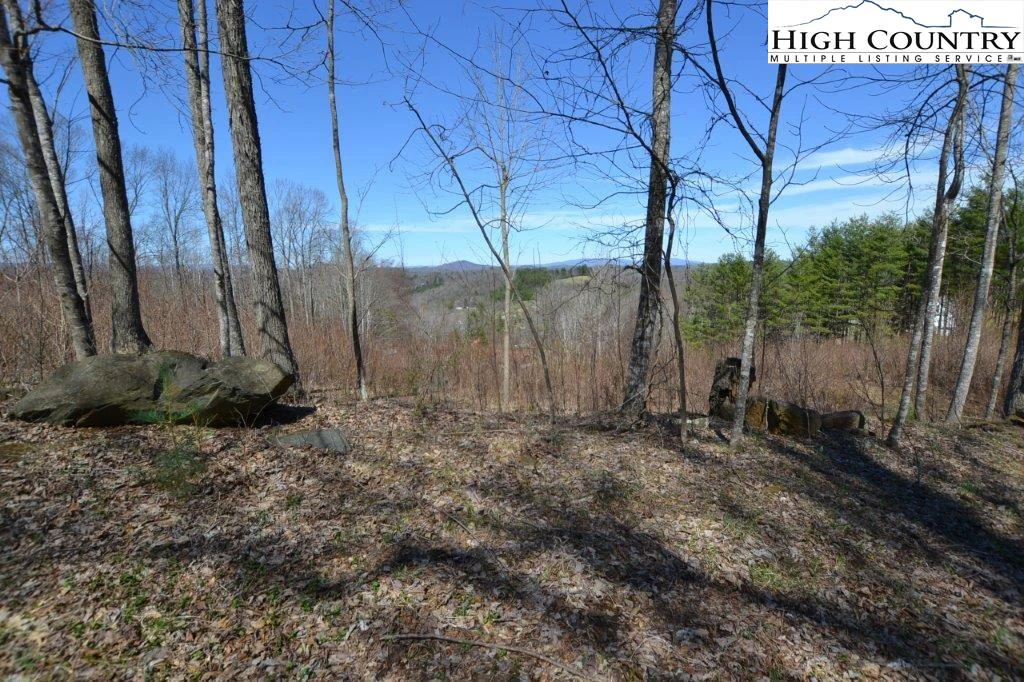 Image number 11 for the current listing