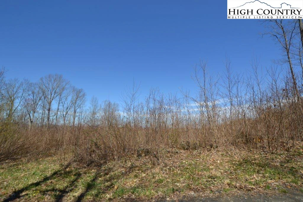 Image number 13 for the current listing