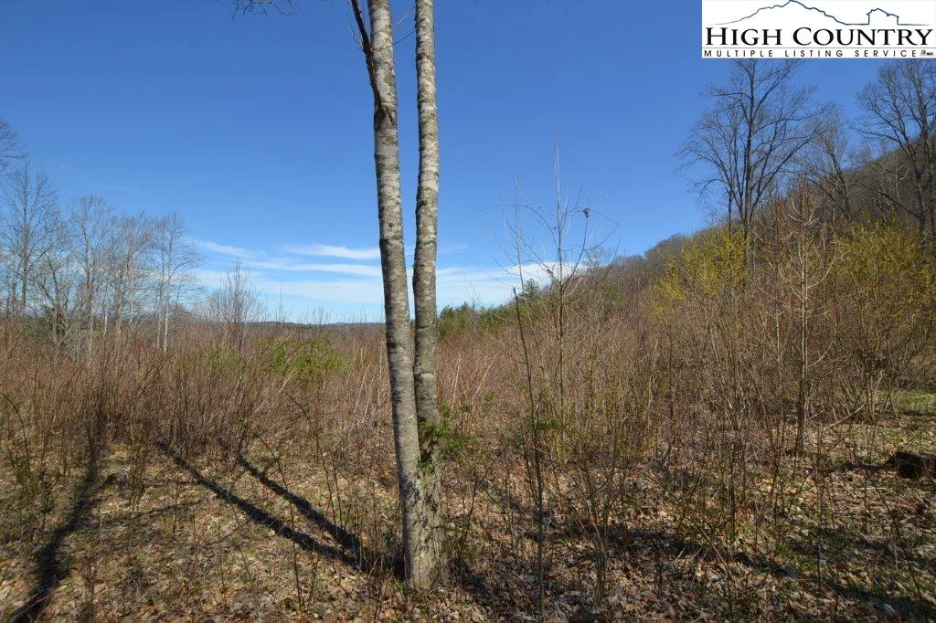 Image number 14 for the current listing