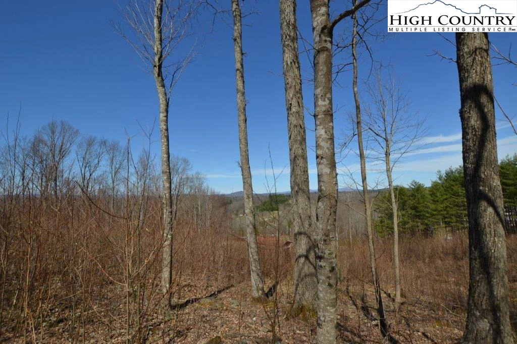 Image number 15 for the current listing