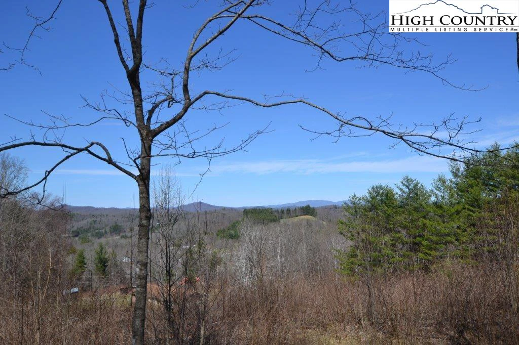 Image number 16 for the current listing