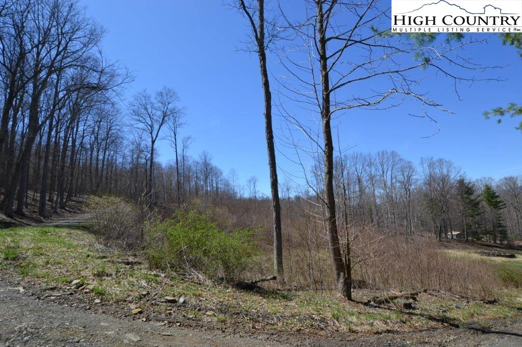Image number 3 for the current listing