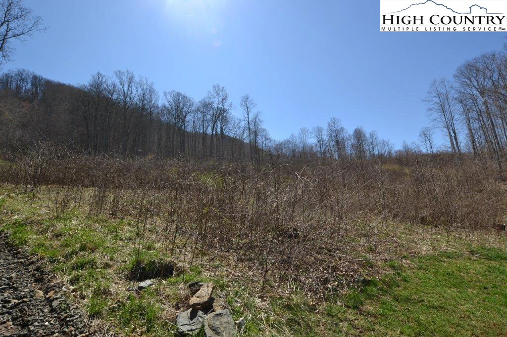 Image number 4 for the current listing