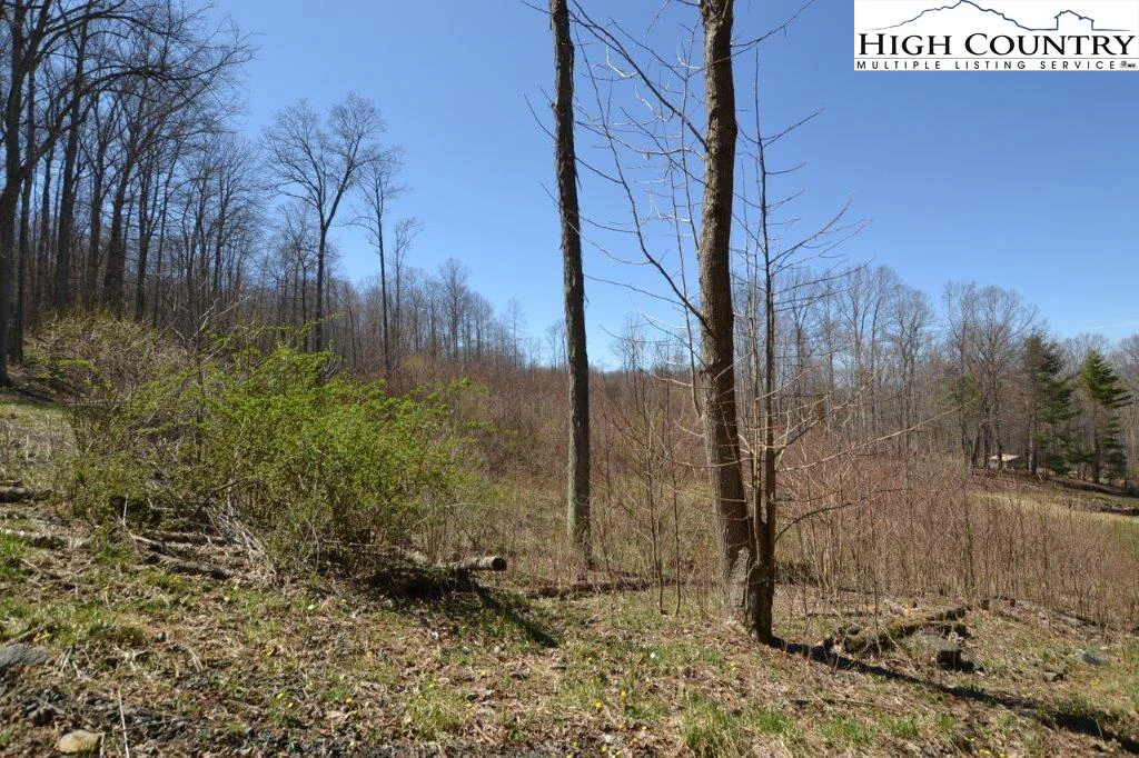 Image number 5 for the current listing