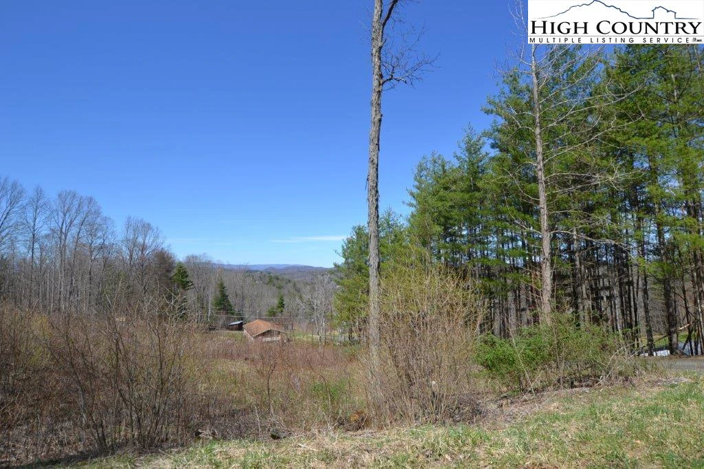 Image number 6 for the current listing