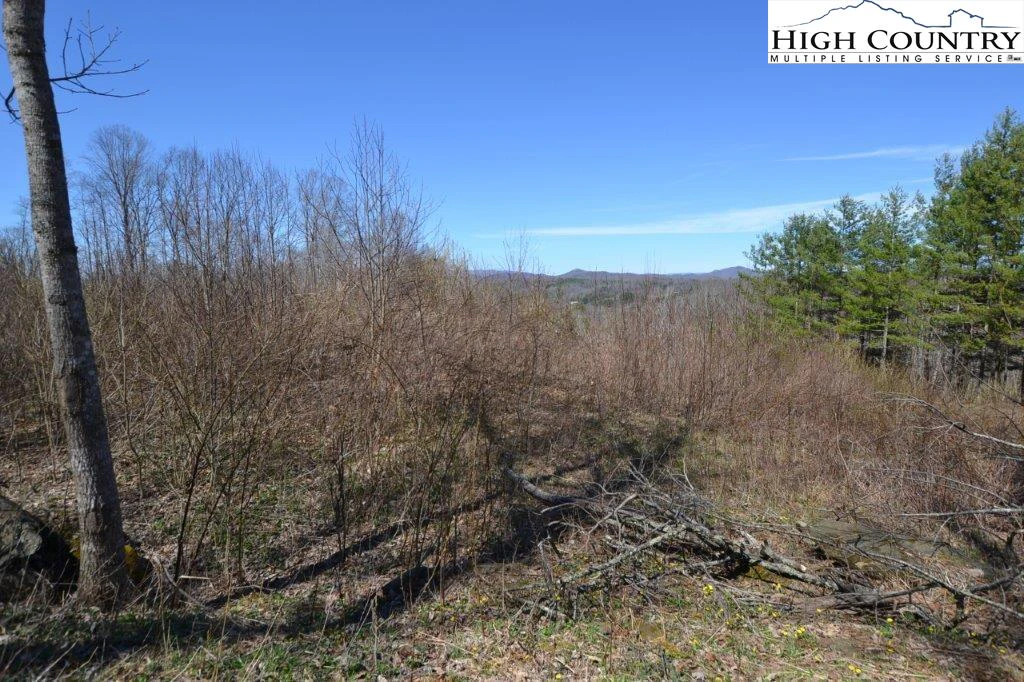 Image number 7 for the current listing