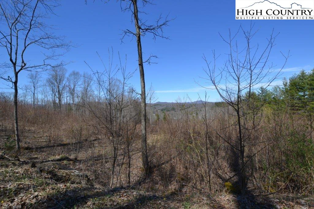 Image number 8 for the current listing