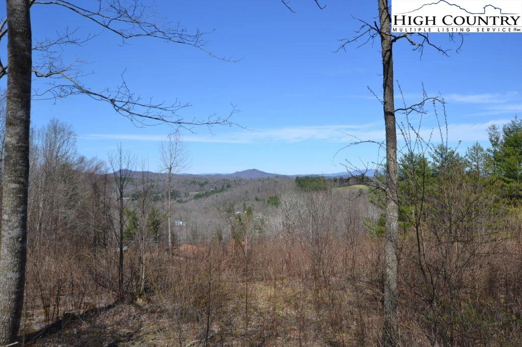 Image number 9 for the current listing