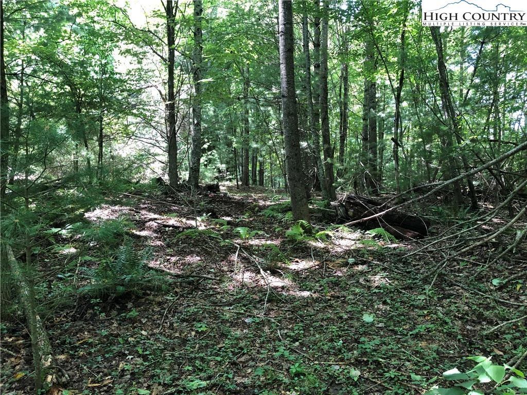 Image number 14 for the current listing