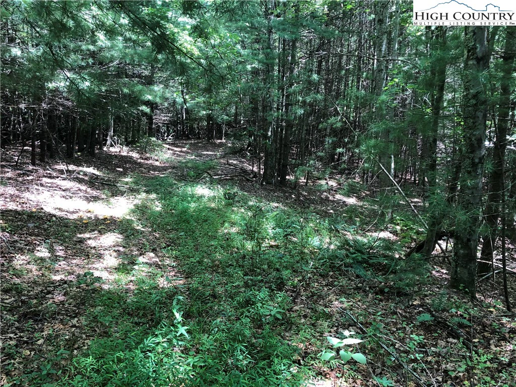 Image number 6 for the current listing