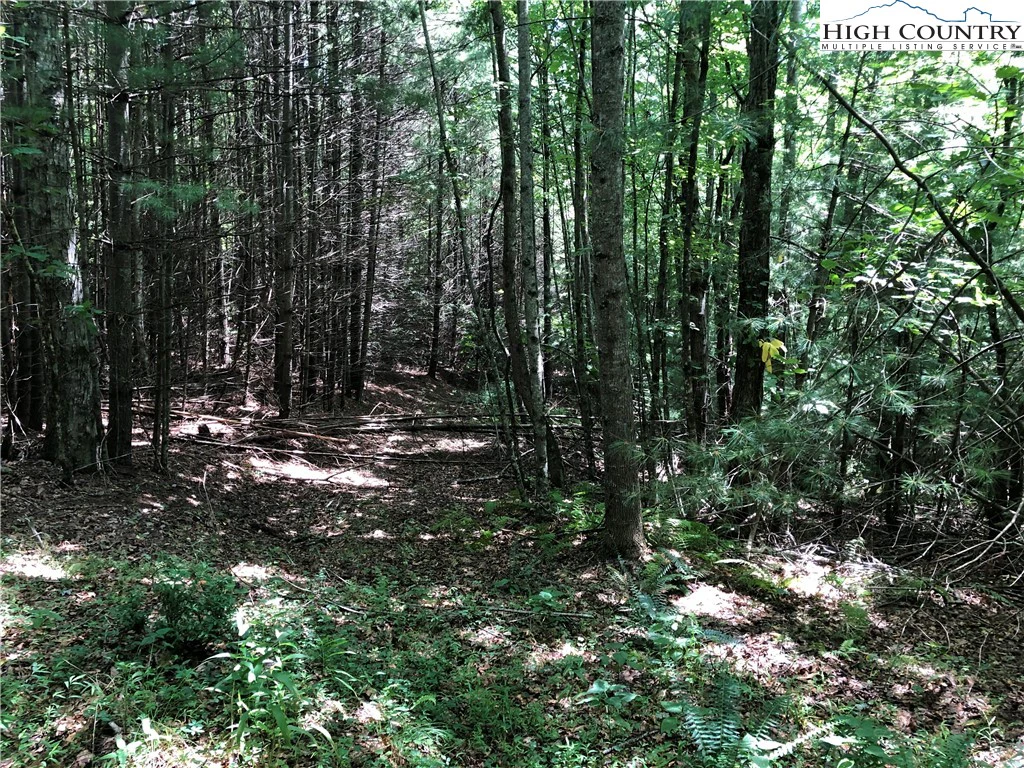 Image number 7 for the current listing