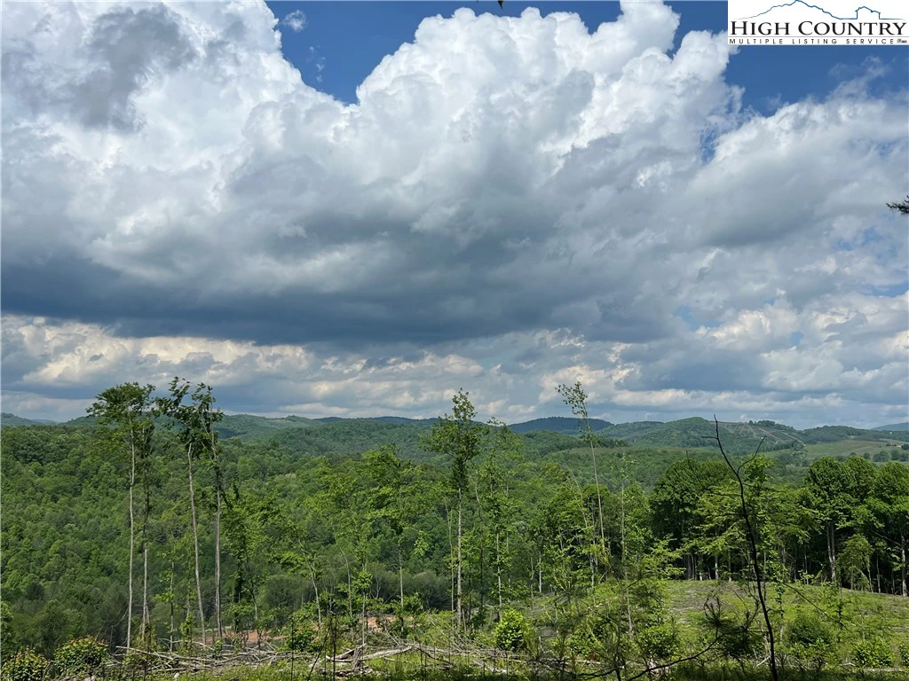 Image number 1 for the current listing