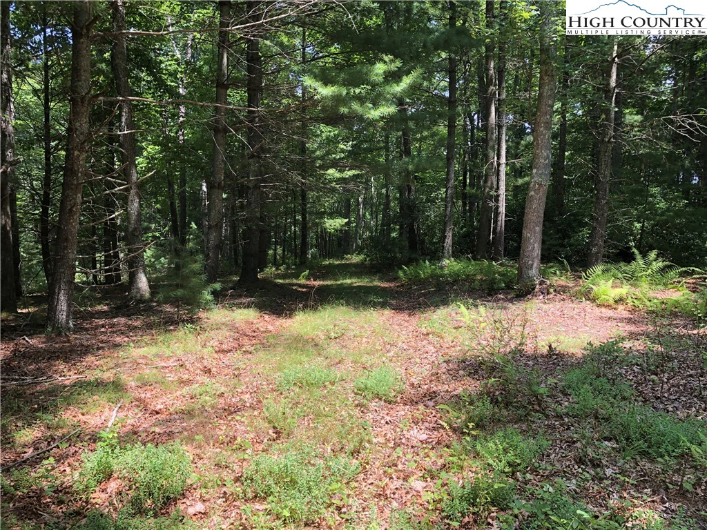 Image number 11 for the current listing