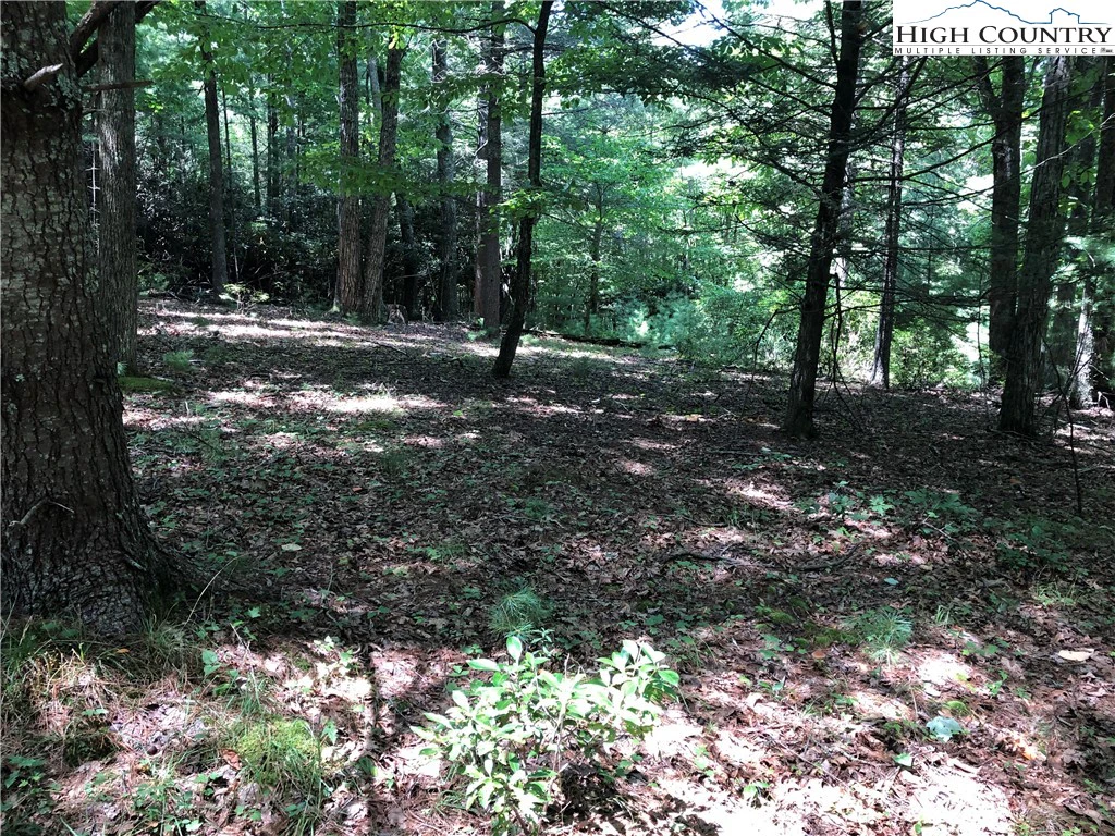 Image number 12 for the current listing