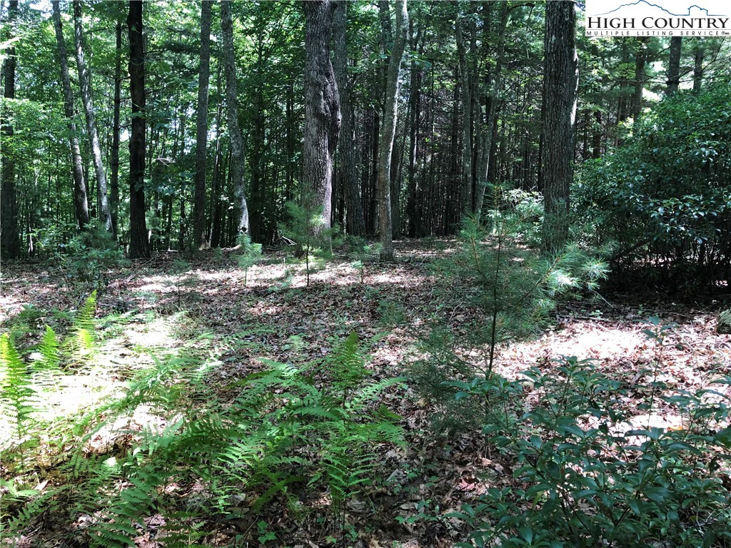 Image number 2 for the current listing