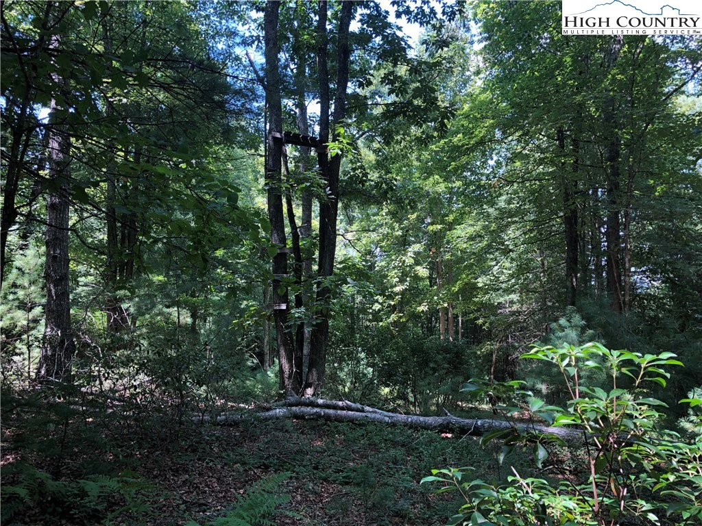 Image number 15 for the current listing