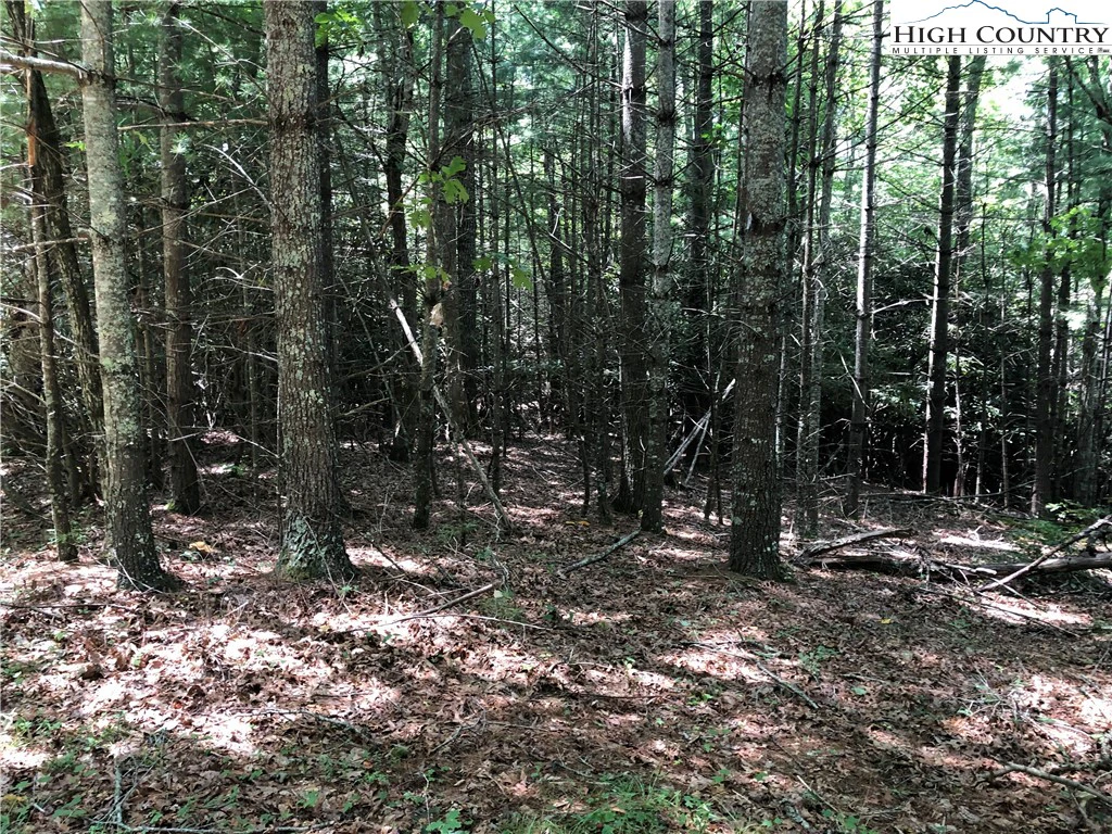 Image number 18 for the current listing