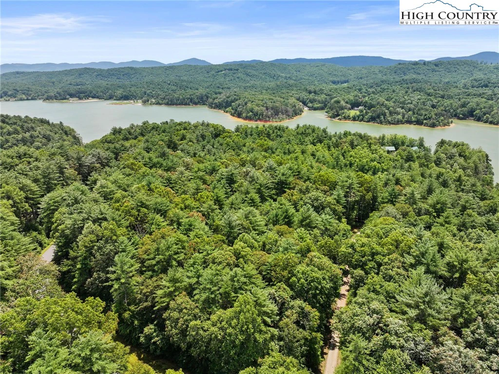 Image number 11 for the current listing