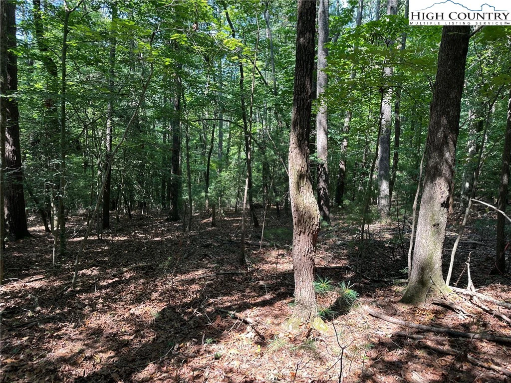Image number 2 for the current listing