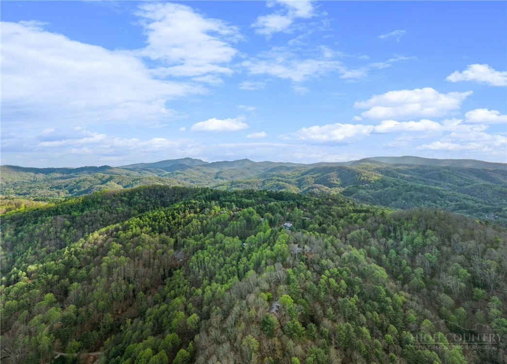 Image number 7 for the current listing