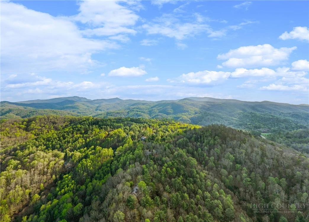 Image number 8 for the current listing