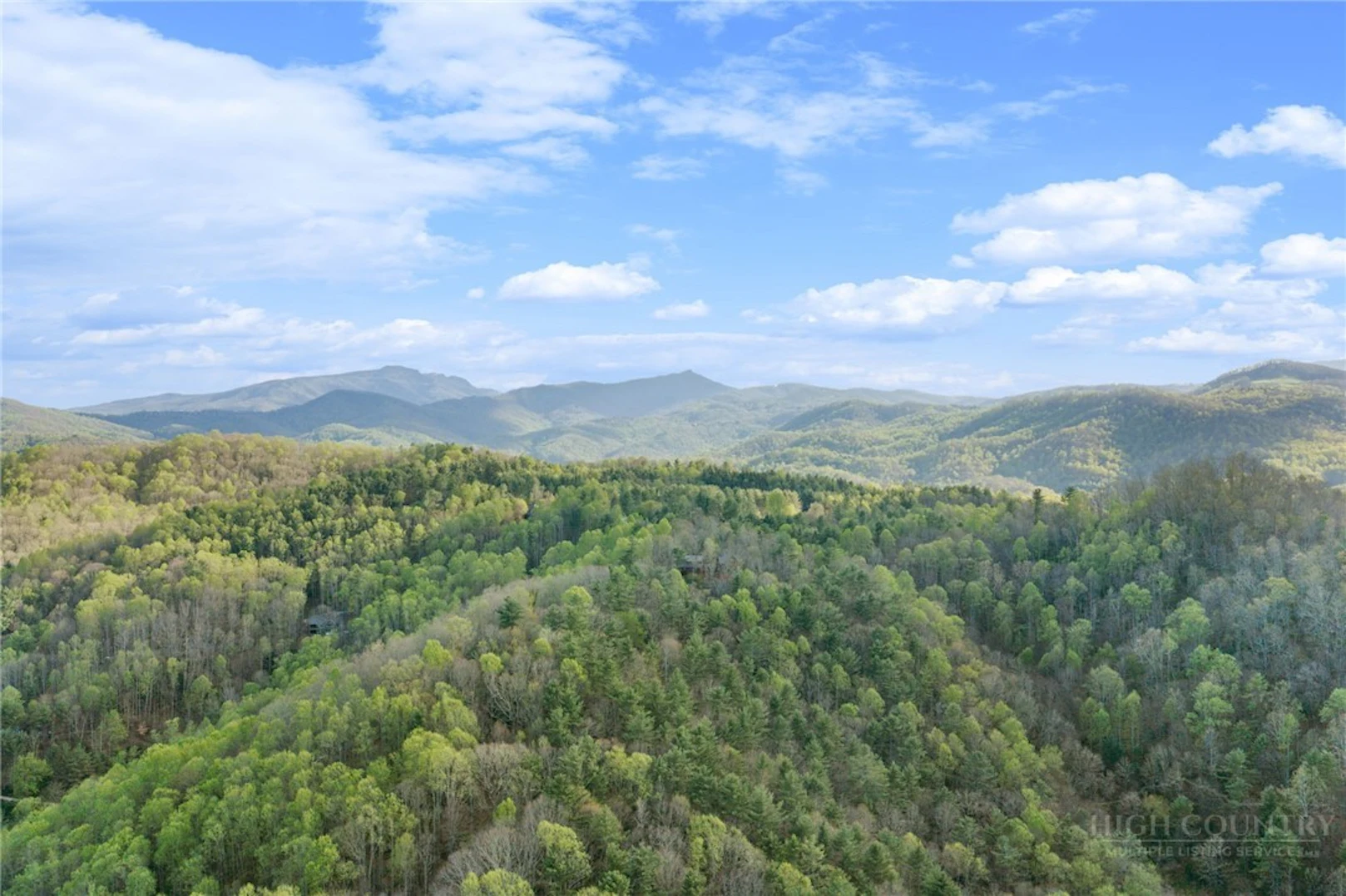 Image number 12 for the current listing