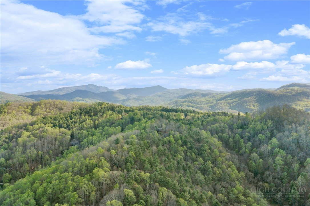 Image number 12 for the current listing