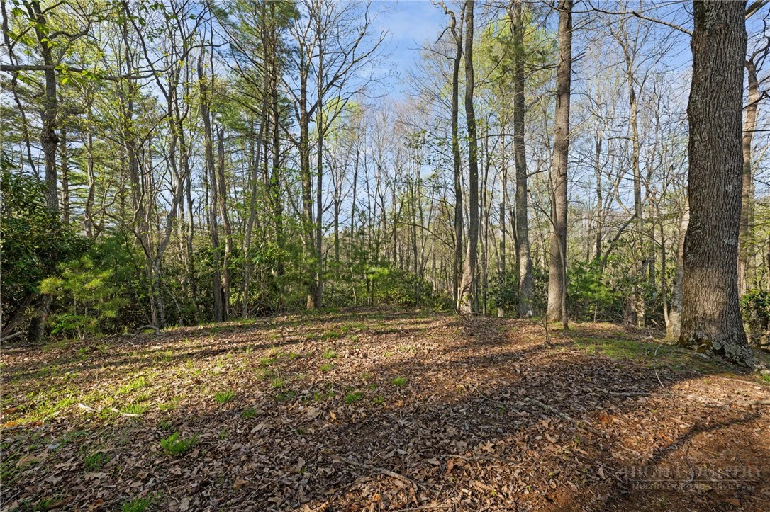 Image number 1 for the current listing