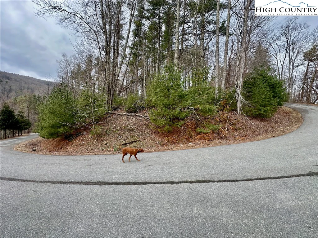 Image number 1 for the current listing