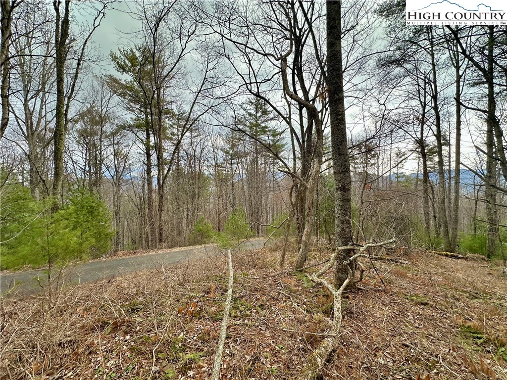 Image number 13 for the current listing