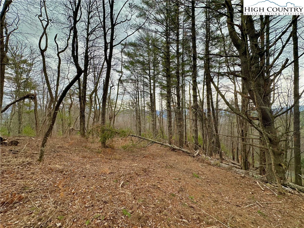 Image number 11 for the current listing