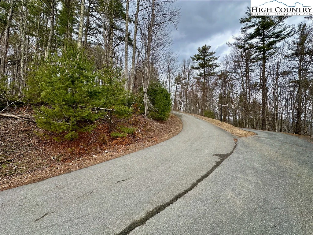 Image number 2 for the current listing