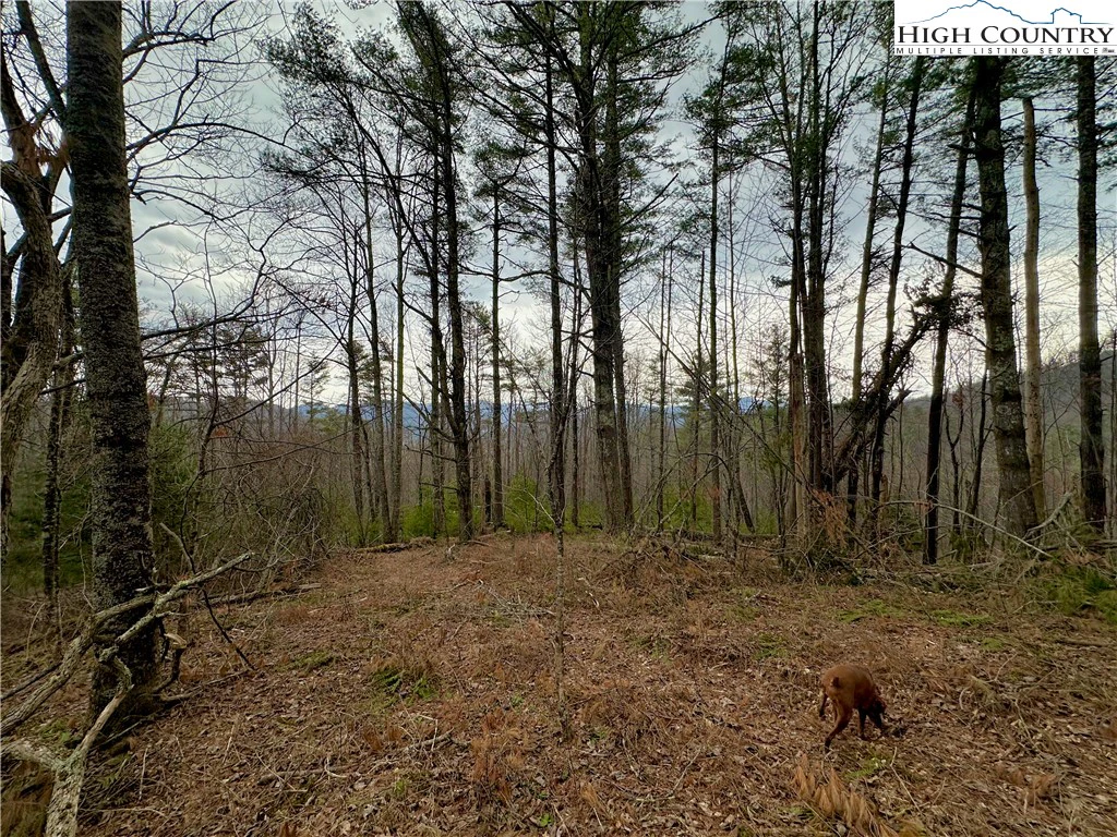 Image number 10 for the current listing
