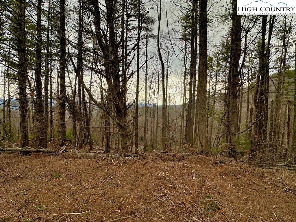 Image number 9 for the current listing
