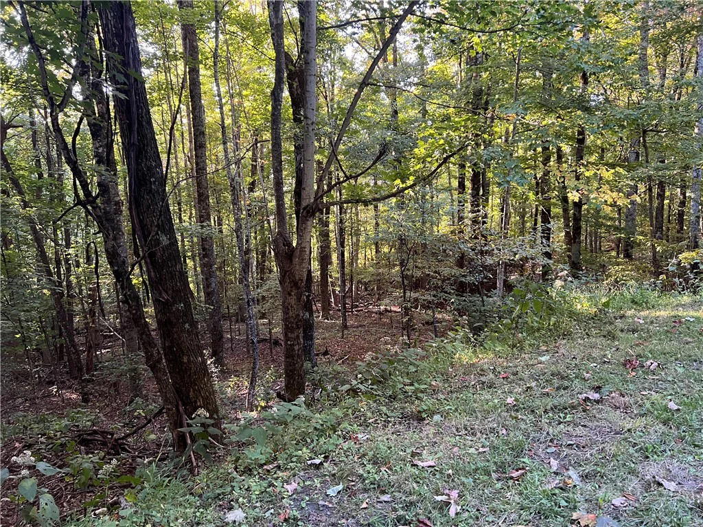 Image number 1 for the current listing