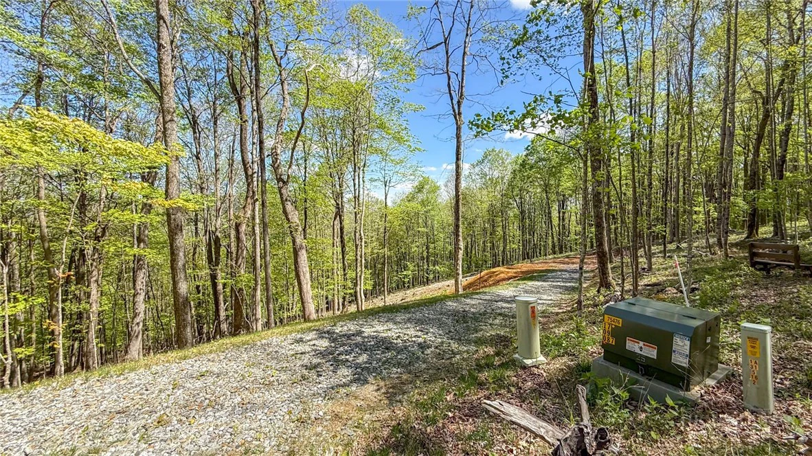 Image number 1 for the current listing