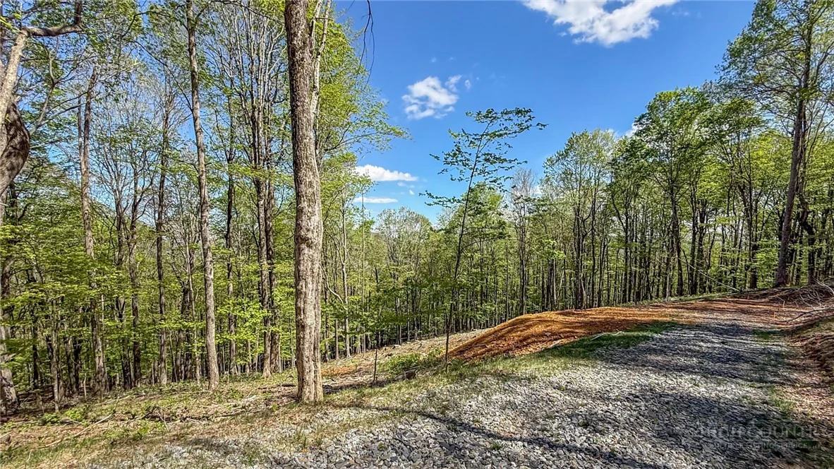 Image number 5 for the current listing