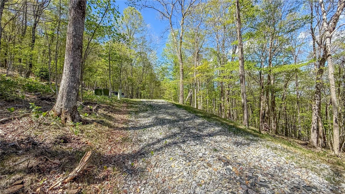 Image number 6 for the current listing