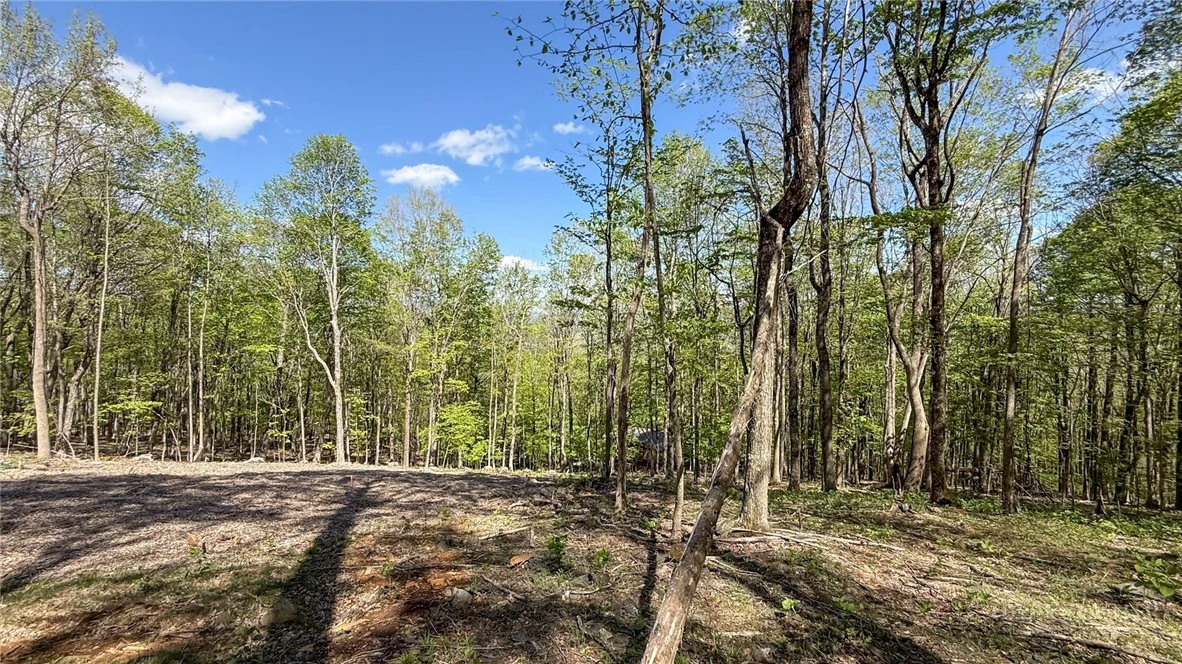 Image number 10 for the current listing