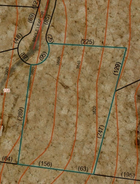 Image number 3 for the current listing