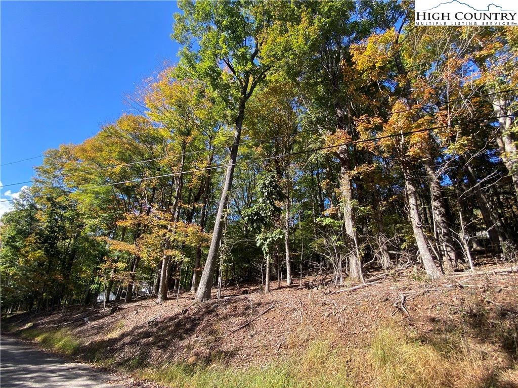 Image number 3 for the current listing