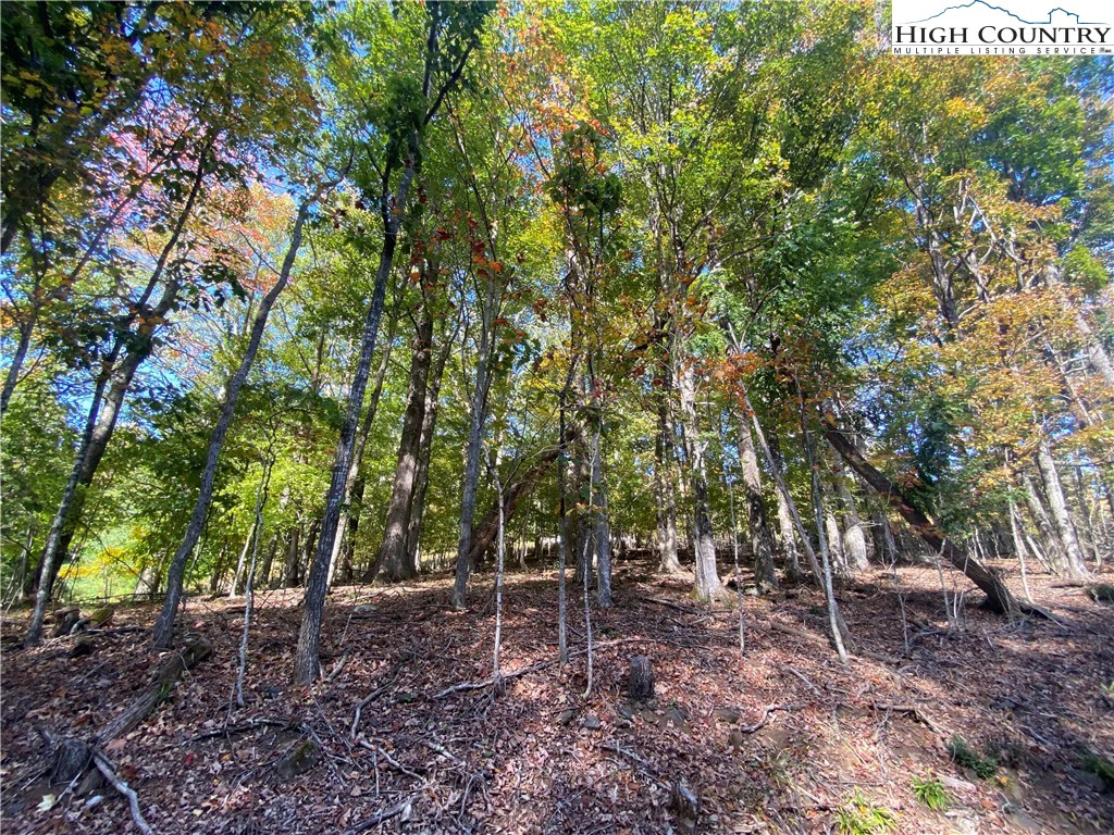 Image number 1 for the current listing