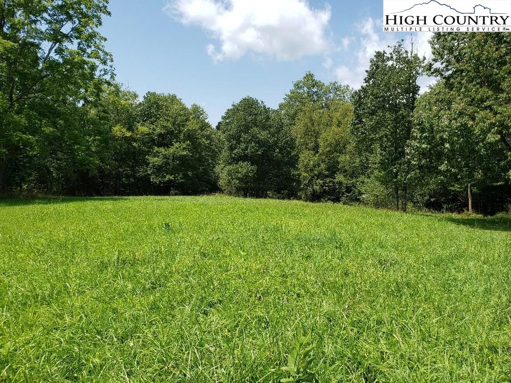 Image number 1 for the current listing