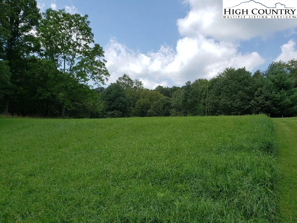 Image number 4 for the current listing
