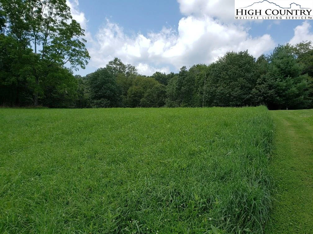 Image number 5 for the current listing