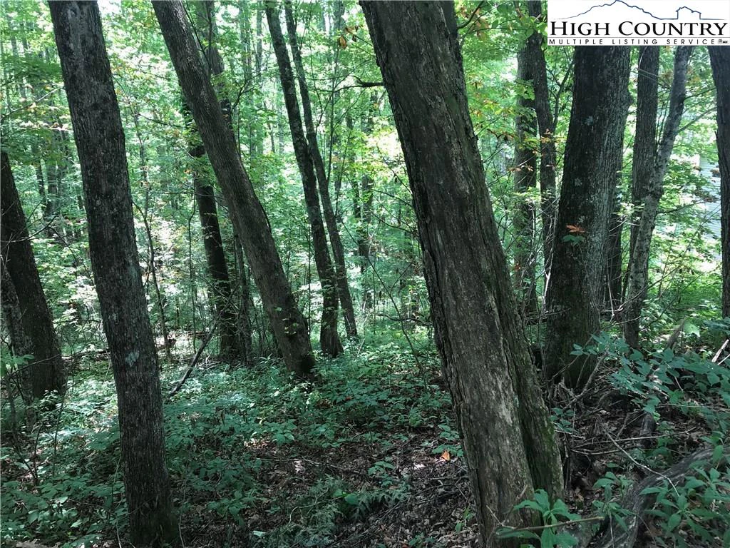 Image number 3 for the current listing