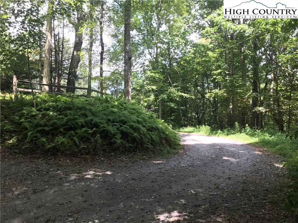 Image number 5 for the current listing