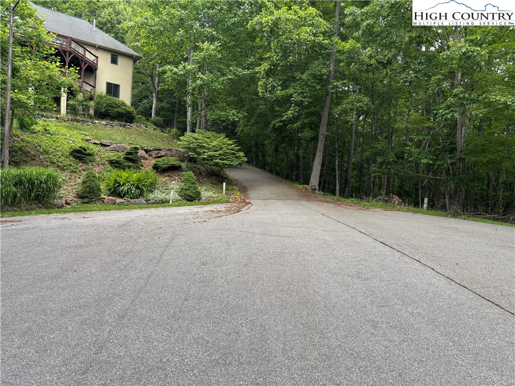 Image number 4 for the current listing