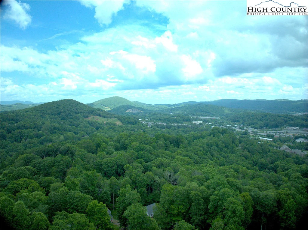 Image number 1 for the current listing