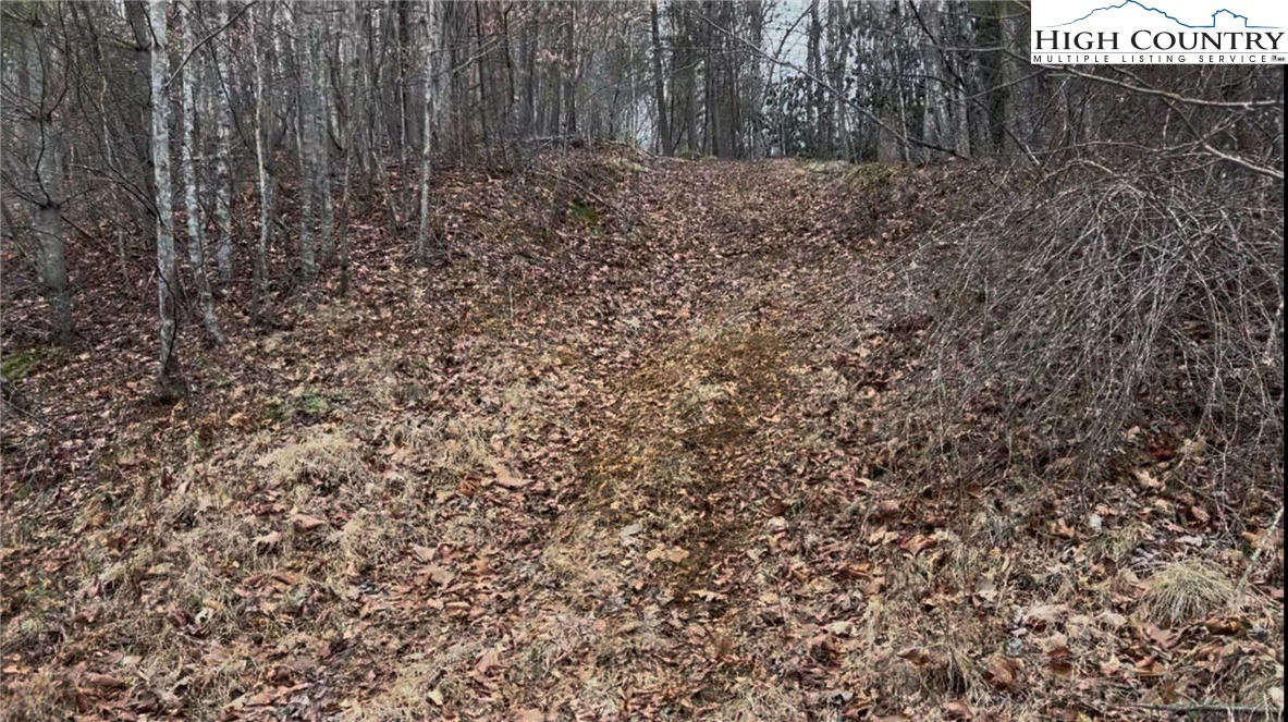 Image number 9 for the current listing